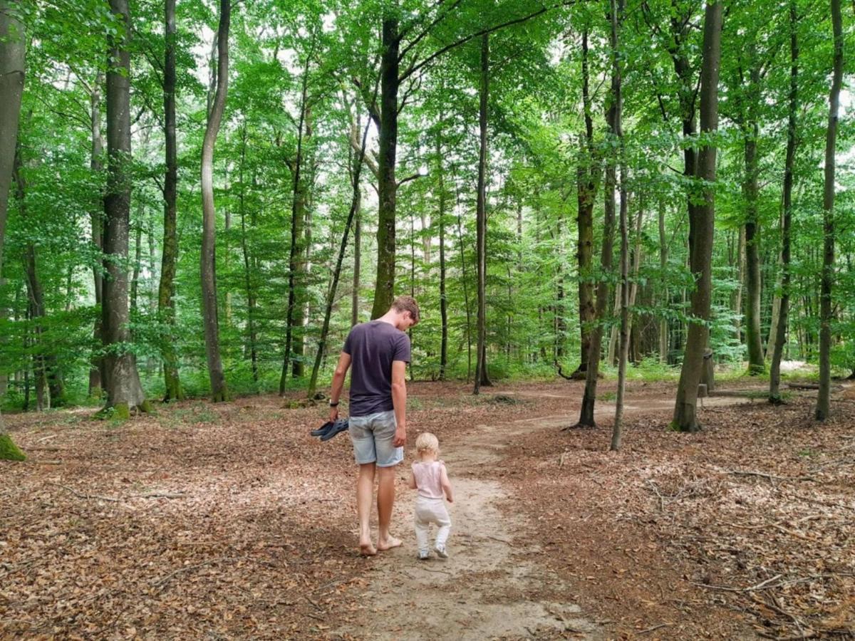 Nice Tent Lodge On A Campsite, Bordering The Forest, Luxembourg At 27 Km Medernach Exteriör bild