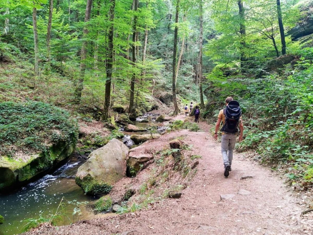 Nice Tent Lodge On A Campsite, Bordering The Forest, Luxembourg At 27 Km Medernach Exteriör bild